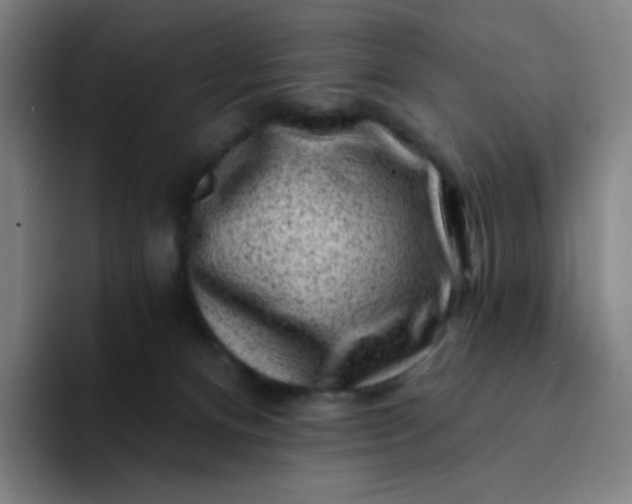 X0000094380128200711162138