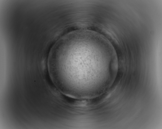 X0000094380131200711162138