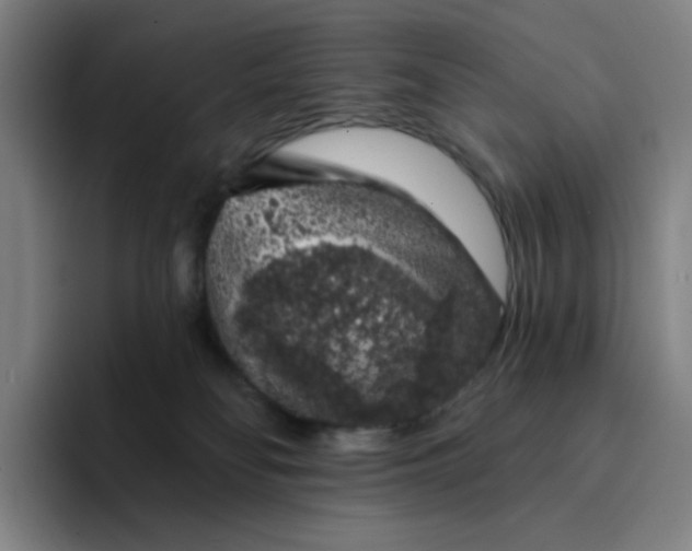 X0000094380134200711162138