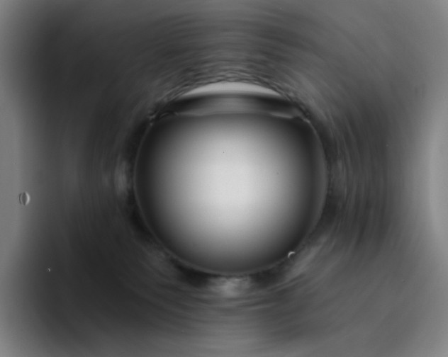 X0000094380135200711162138