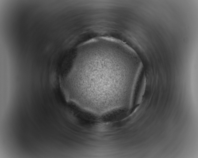 X0000094380136200711162138