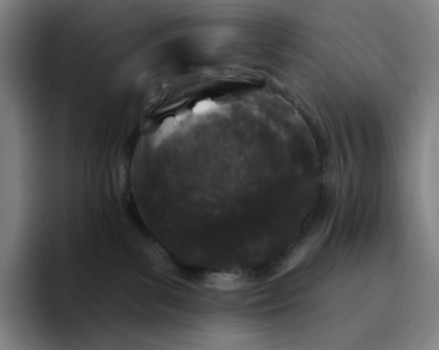 X0000094380139200711162138