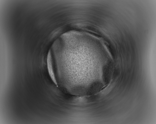 X0000094380140200711162138