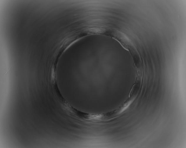X0000094380143200711162138