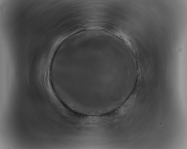 X0000094380145200711162137