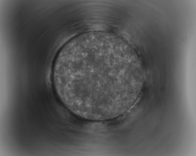 X0000094380146200711162137