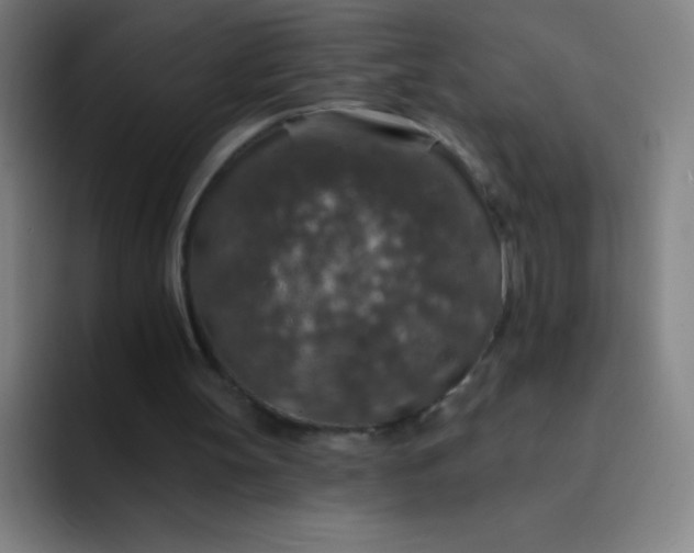 X0000094380147200711162137