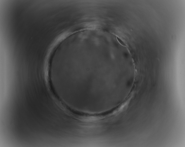 X0000094380149200711162137