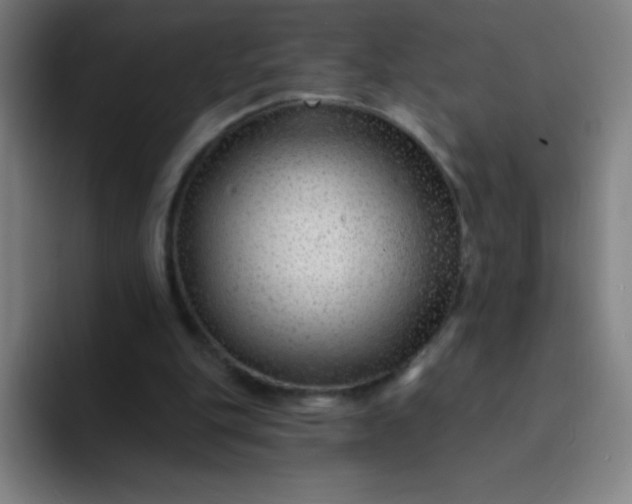 X0000094380151200711162137