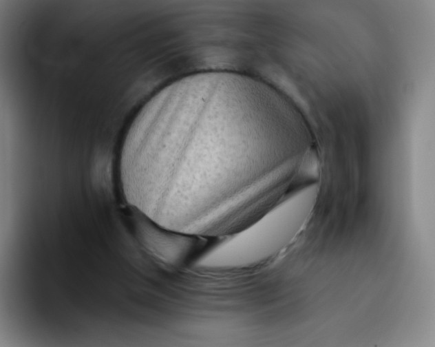 X0000094380154200711162137