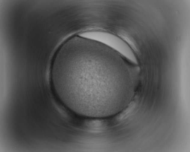 X0000094380156200711162138