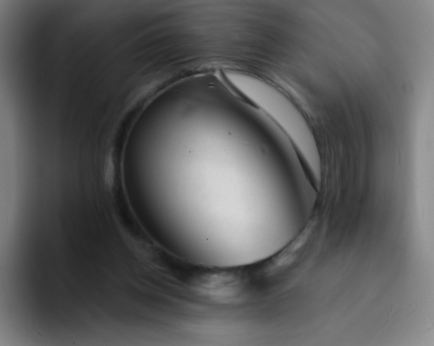 X0000094380158200711162138