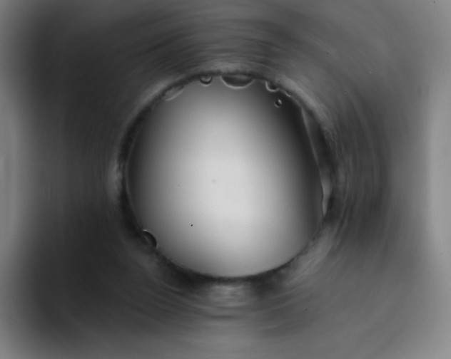 X0000094380160200711162138