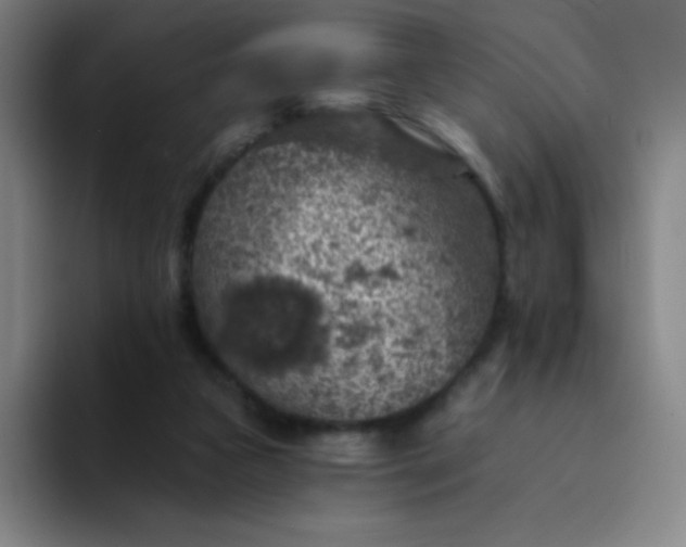 X0000094380161200711162138