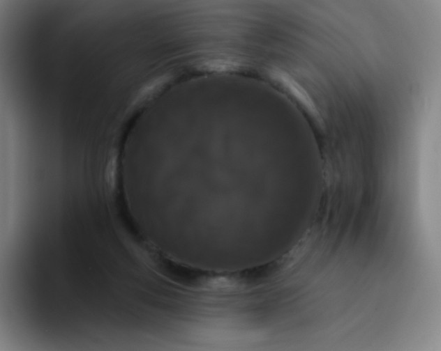 X0000094380163200711162138