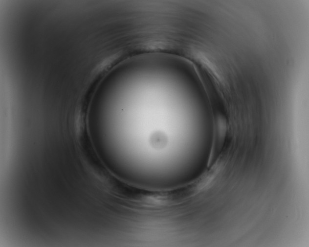 X0000094380164200711162138