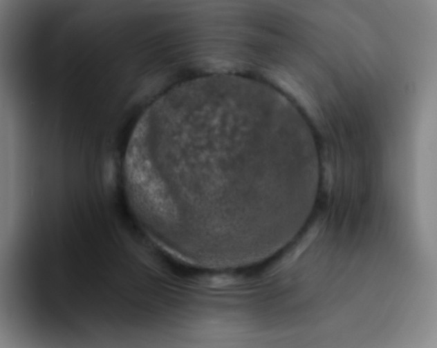 X0000094380165200711162138