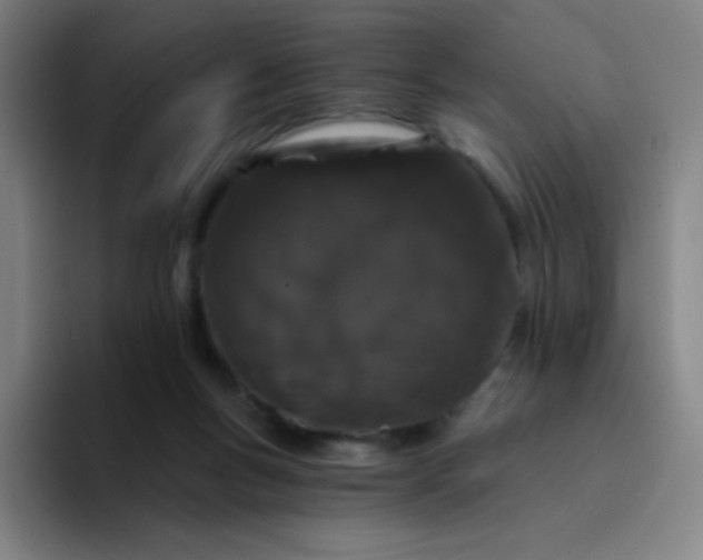 X0000094380167200711162138