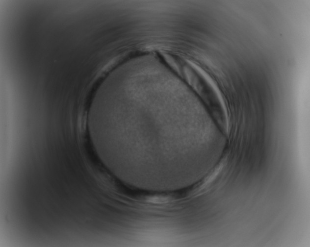 X0000094380168200711162138