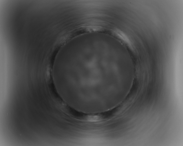 X0000094380169200711162138