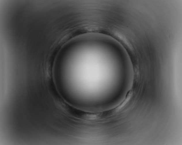 X0000094380170200711162138