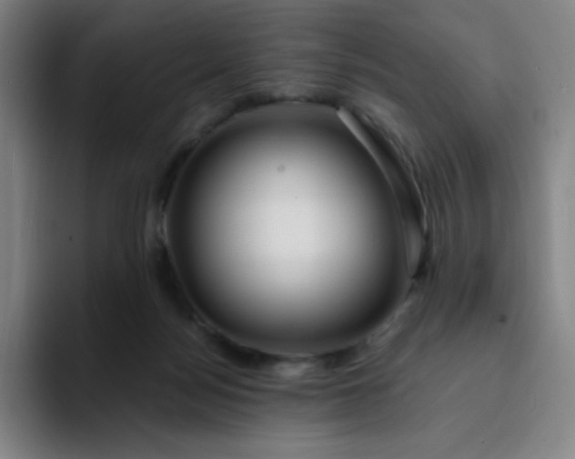 X0000094380172200711162138