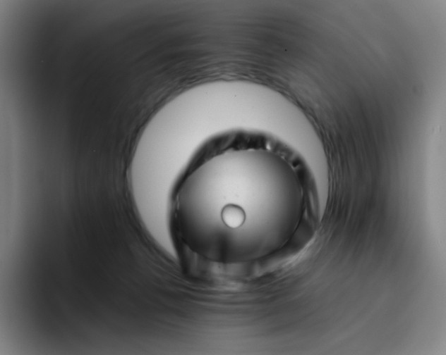 X0000094380176200711162138