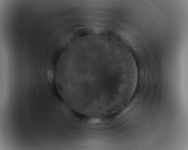 X0000094380177200711162138
