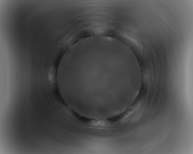 X0000094380181200711162138