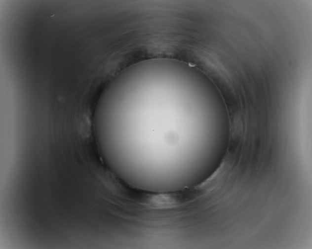 X0000094380183200711162138