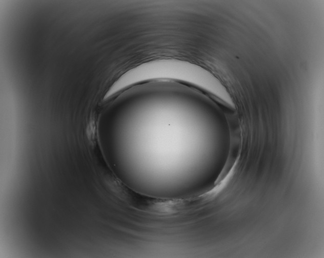 X0000094380190200711162138