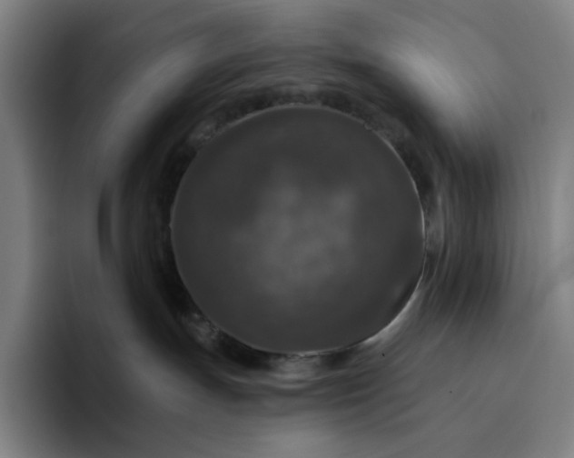 X0000094380191200711162138