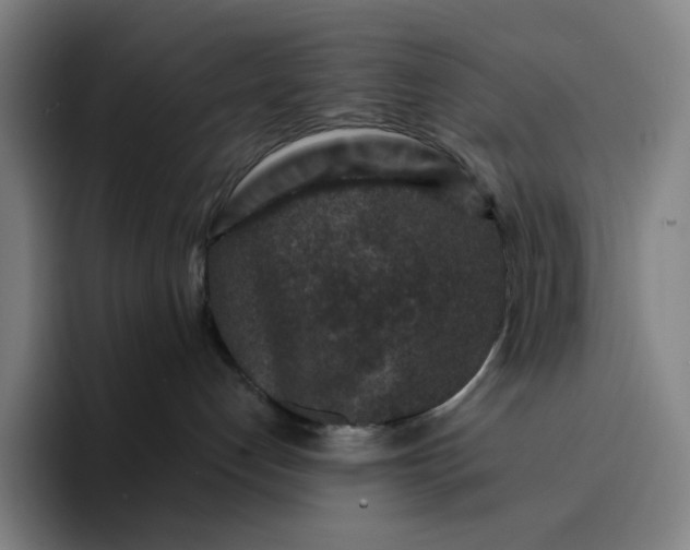 X0000094380192200711162138