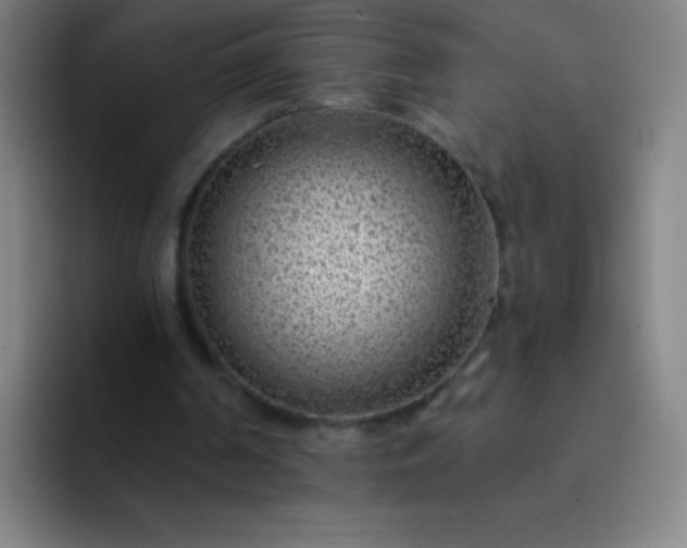 X0000094380194200711162137