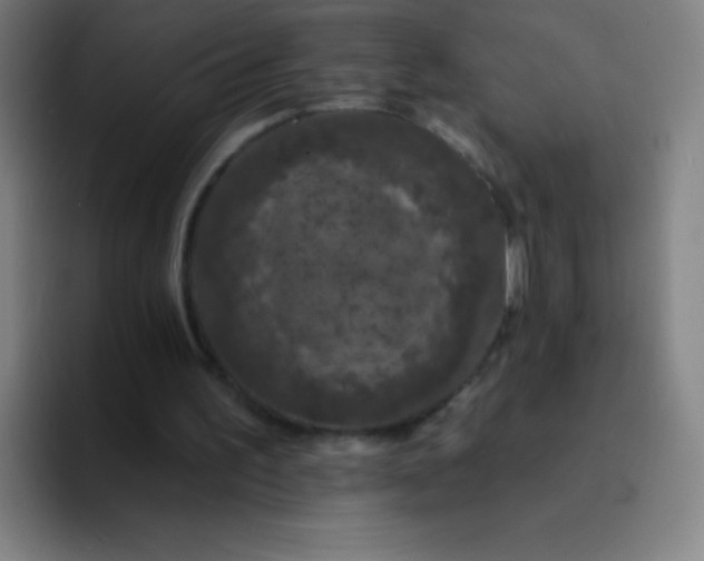 X0000094380195200711162137