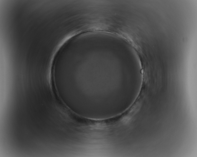 X0000094380196200711162137
