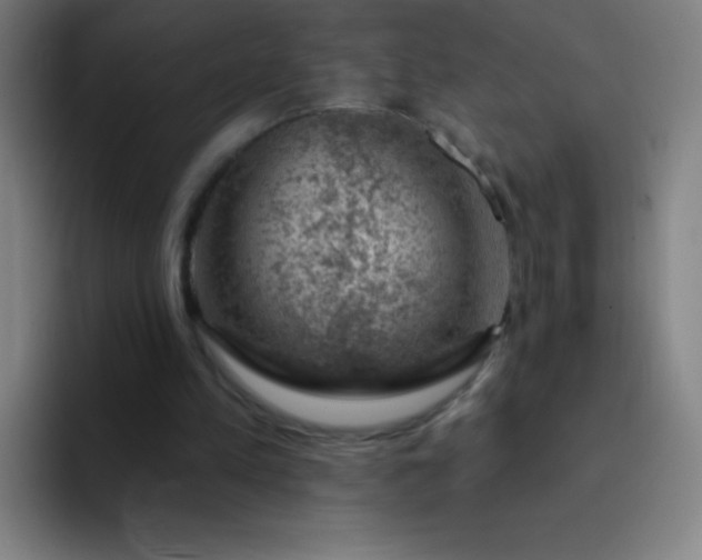 X0000094380197200711162137