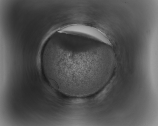 X0000094380198200711162137