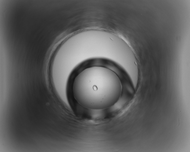 X0000094380199200711162137