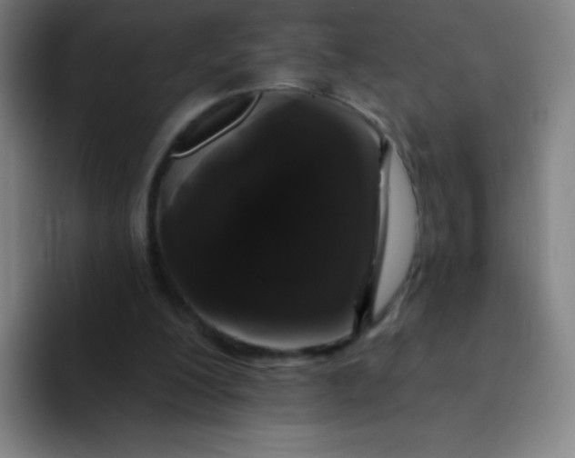 X0000094380200200711162137