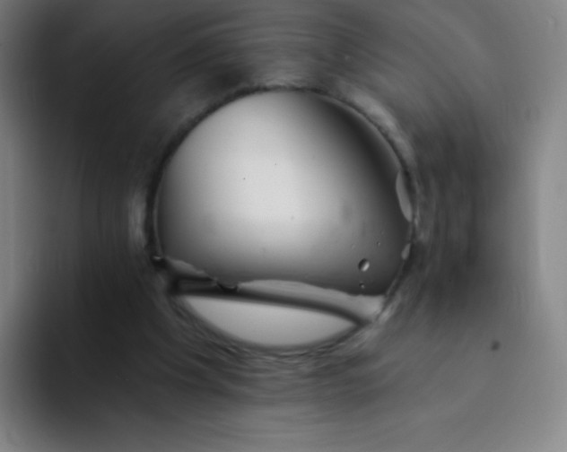 X0000094380201200711162137