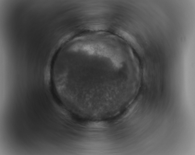 X0000094380202200711162137