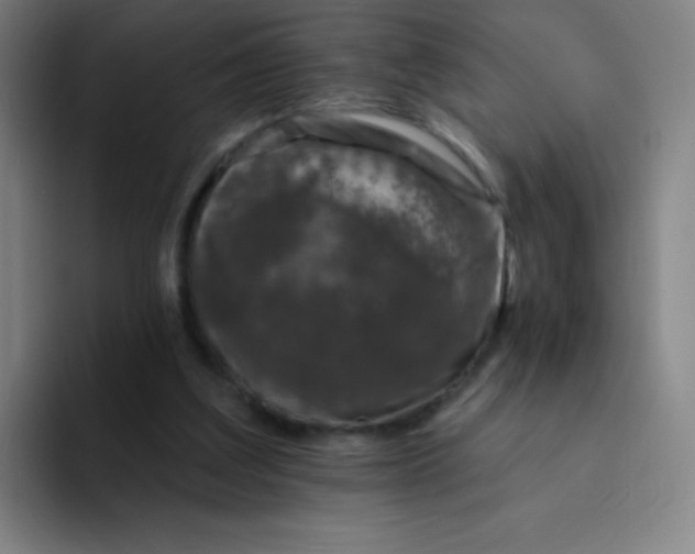 X0000094380203200711162137