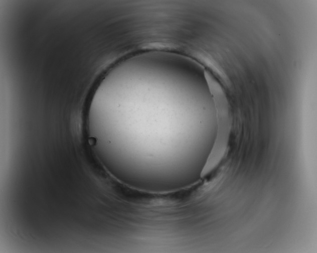 X0000094380204200711162137