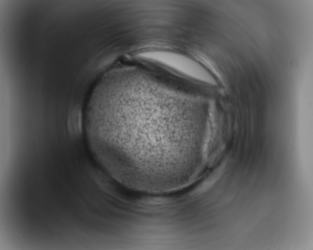 X0000094380205200711162137