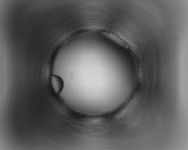 X0000094380206200711162137
