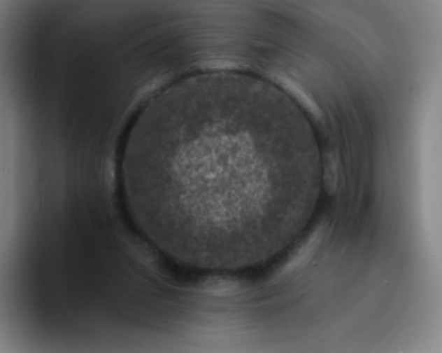 X0000094380207200711162137