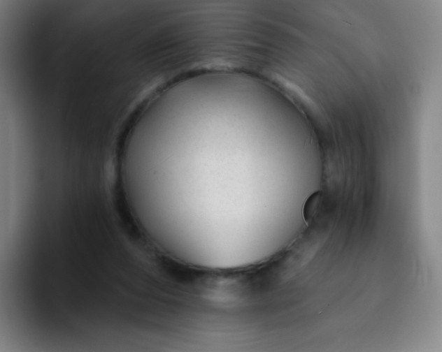 X0000094380208200711162137