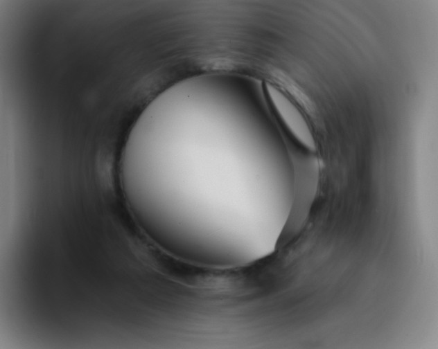 X0000094380209200711162137