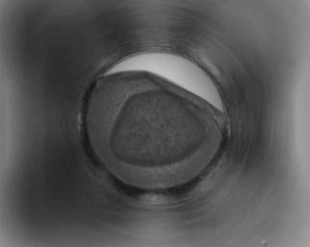 X0000094380211200711162137